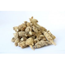 加種原尾泡4號-37F (每両)